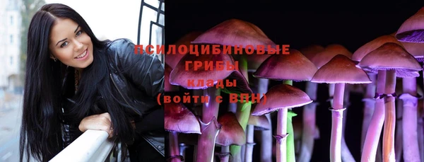 mdpv Арсеньев