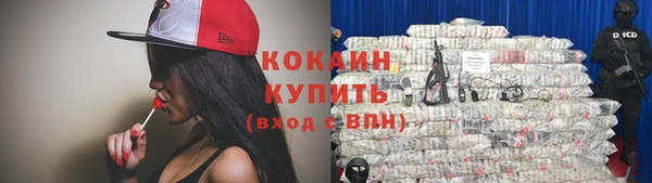 мяу мяу мука Аркадак